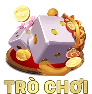Trải nghiệm đa dạng